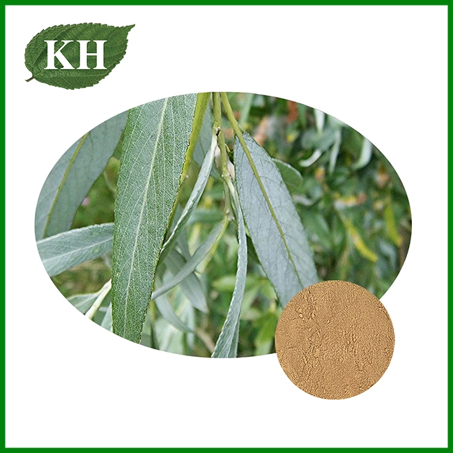 White Willow Bark Extract Powder White Willow Bark Extract Powder